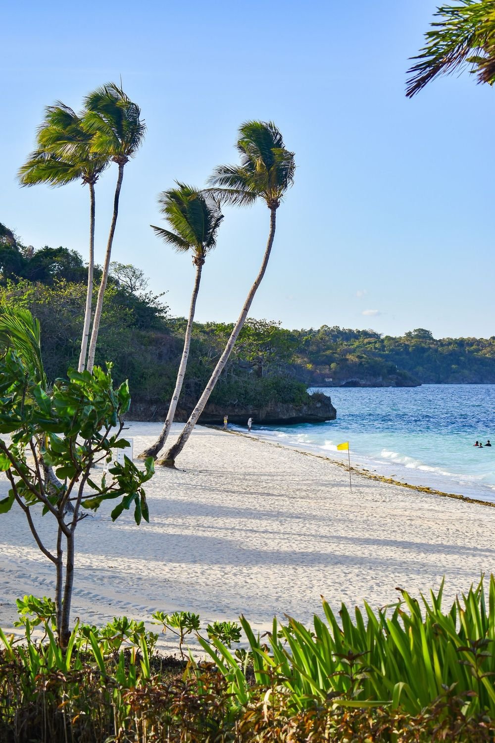 Palm trees on a Boracay Newcoast beach