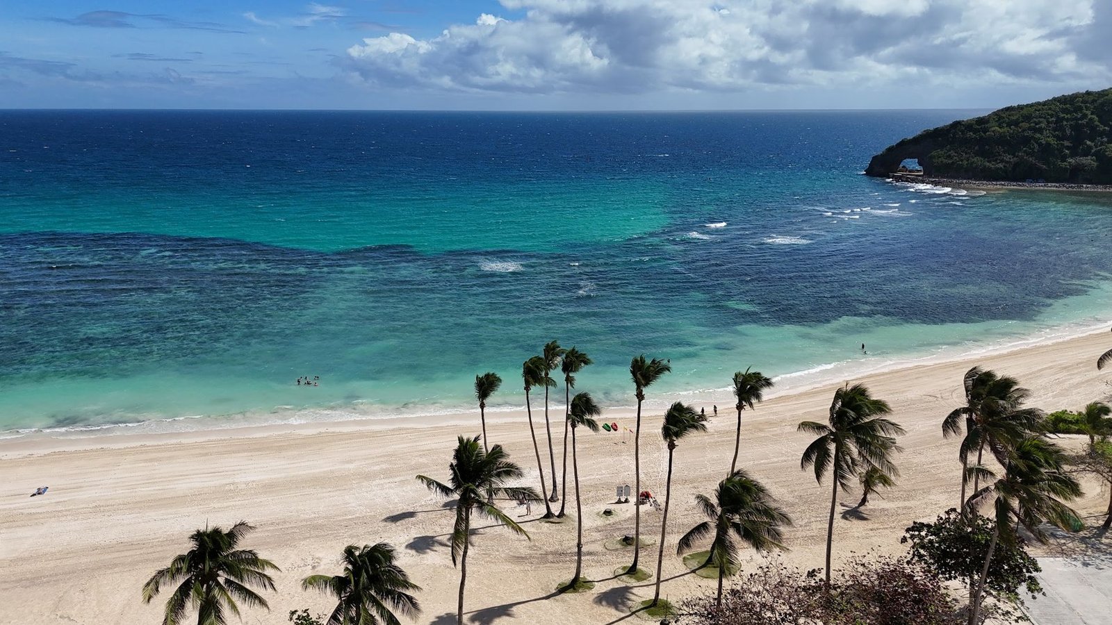 Palm-lined beach at Cove 2